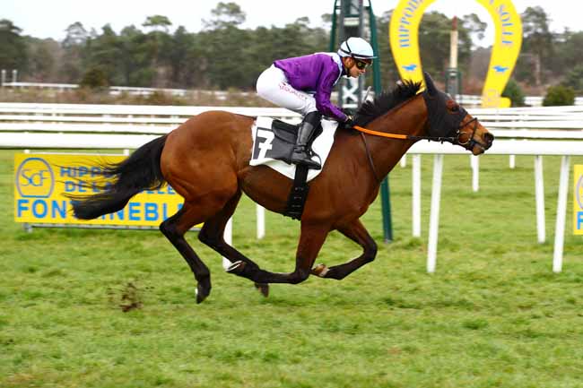 Photo d'arrivée de la course pmu PRIX DE LA CHAPELLE-LA-REINE à FONTAINEBLEAU le Vendredi 17 mars 2023
