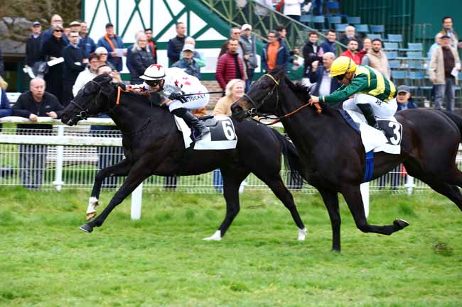 Photo d'arrivée de la course pmu PRIX DES BARNOLETS à FONTAINEBLEAU le Vendredi 17 mars 2023