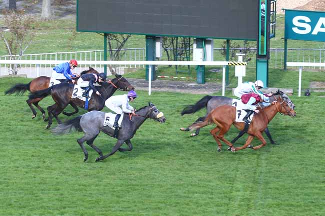 Photo d'arrivée de la course pmu PRIX LA CAMARGO à SAINT CLOUD le Samedi 18 mars 2023