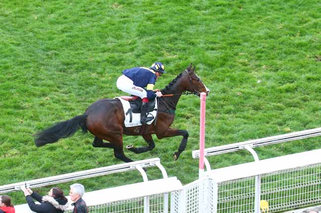 Photo d'arrivée de la course pmu PRIX RUSH à AUTEUIL le Dimanche 19 mars 2023