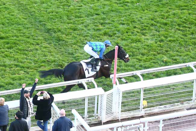 Photo d'arrivée de la course pmu PRIX D'INDY à AUTEUIL le Dimanche 19 mars 2023