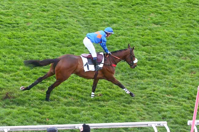 Photo d'arrivée de la course pmu PRIX HYPOTHESE à AUTEUIL le Dimanche 26 mars 2023