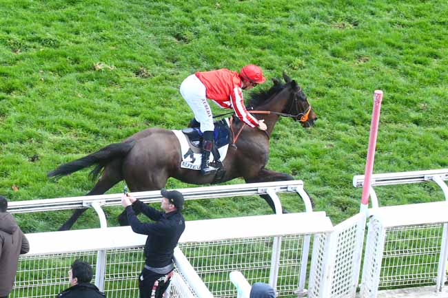 Photo d'arrivée de la course pmu PRIX ALCIDE à AUTEUIL le Dimanche 26 mars 2023