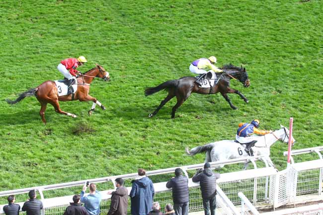 Photo d'arrivée de la course pmu PRIX HUBERT DE NAVAILLES à AUTEUIL le Dimanche 26 mars 2023