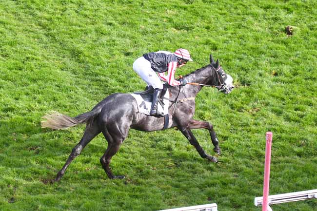 Photo d'arrivée de la course pmu PRIX KASHNIL à AUTEUIL le Dimanche 26 mars 2023