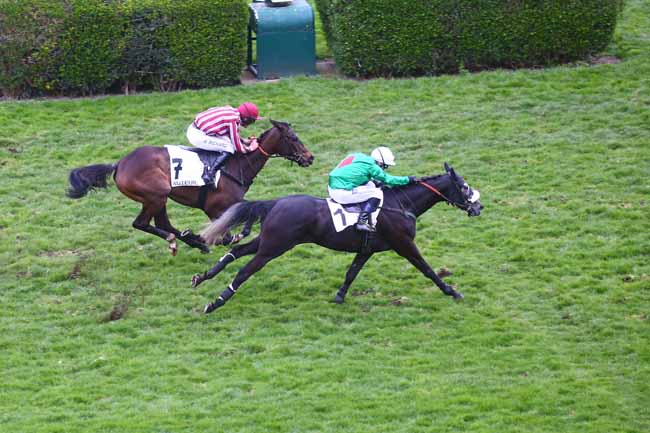 Photo d'arrivée de la course pmu PRIX LE TOUQUET à AUTEUIL le Dimanche 26 mars 2023