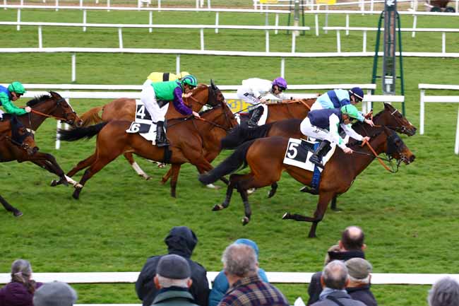 Photo d'arrivée de la course pmu PRIX DU ROCHER CASSEPOT à FONTAINEBLEAU le Lundi 27 mars 2023