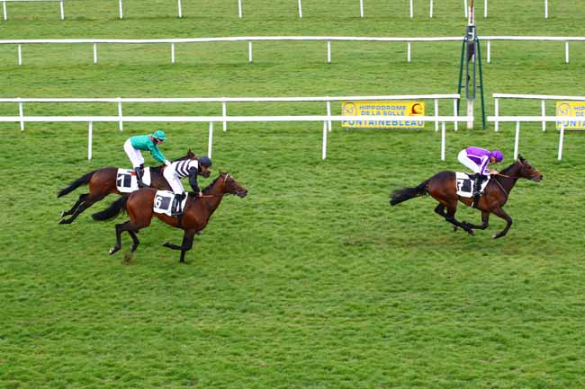 Photo d'arrivée de la course pmu PRIX DE SAMOIS-SUR-SEINE à FONTAINEBLEAU le Lundi 27 mars 2023