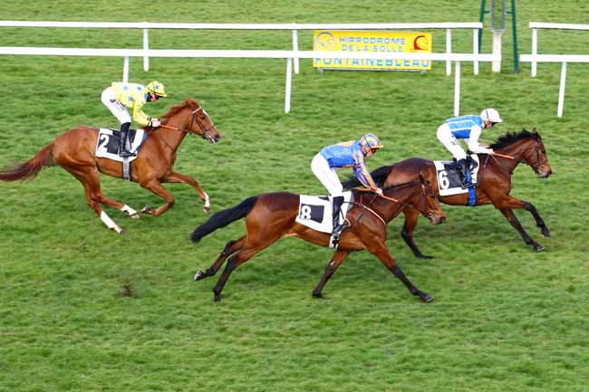 Photo d'arrivée de la course pmu PRIX EUGENIE DE MONTIJO à FONTAINEBLEAU le Lundi 27 mars 2023