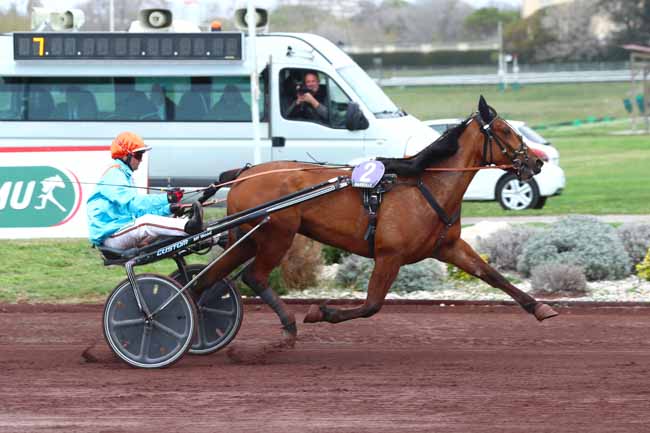 Photo d'arrivée de la course pmu PRIX DE CASSIS - PMU BRASSERIE DU TRAMWAY à MARSEILLE BORELY le Mercredi 29 mars 2023