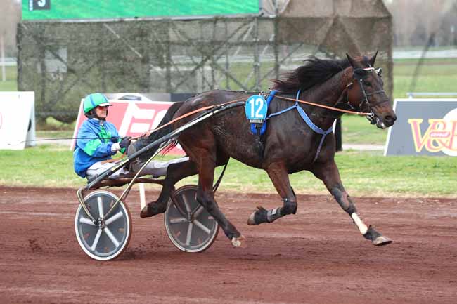 Photo d'arrivée de la course pmu PRIX TROPHEE PARIS TURF à MARSEILLE BORELY le Mercredi 29 mars 2023