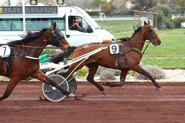 Photo d'arrivée de la course pmu PRIX DE CAGNES-SUR-MER à MARSEILLE BORELY le Mercredi 29 mars 2023
