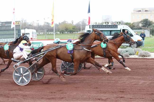 Photo d'arrivée de la course pmu PRIX DU DOCTEUR YVES BACHELIER à MARSEILLE BORELY le Mercredi 29 mars 2023