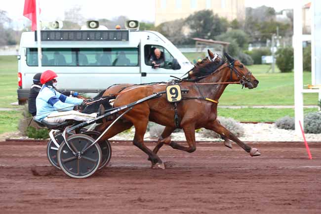 Photo d'arrivée de la course pmu PRIX DU CHATEAU D'IF à MARSEILLE BORELY le Mercredi 29 mars 2023