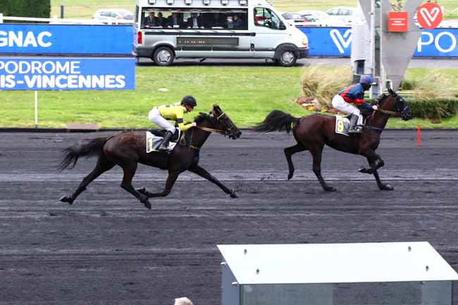 Photo d'arrivée de la course pmu PRIX DE SALAGNAC à PARIS-VINCENNES le Vendredi 31 mars 2023