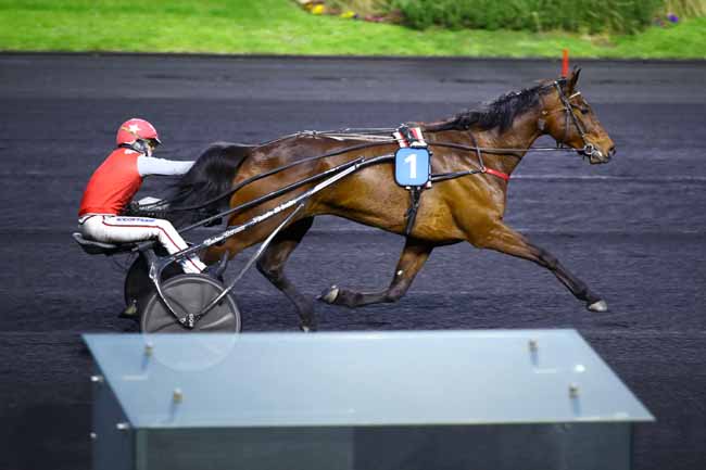 Photo d'arrivée de la course pmu PRIX AMALTHEA à PARIS-VINCENNES le Vendredi 31 mars 2023