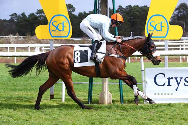 Photo d'arrivée de la course pmu PRIX DE LA MARE AUX COULEUVRES à FONTAINEBLEAU le Samedi 1 avril 2023