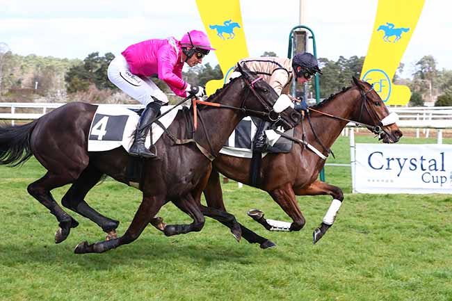 Photo d'arrivée de la course pmu PRIX DE SERMAISE à FONTAINEBLEAU le Samedi 1 avril 2023