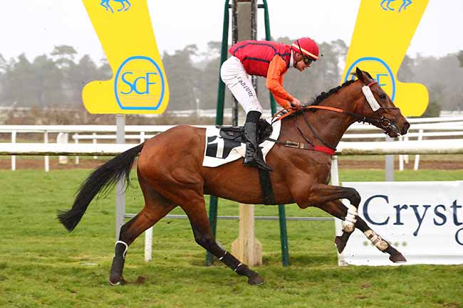 Photo d'arrivée de la course pmu PRIX D'ENGHIEN à FONTAINEBLEAU le Samedi 1 avril 2023