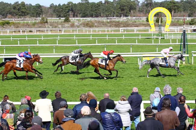 Photo d'arrivée de la course pmu PRIX DES CYPRES à FONTAINEBLEAU le Mardi 4 avril 2023