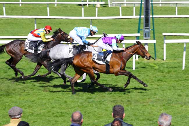 Photo d'arrivée de la course pmu PRIX DU BOIS DE LA COMMANDERIE à FONTAINEBLEAU le Mardi 4 avril 2023