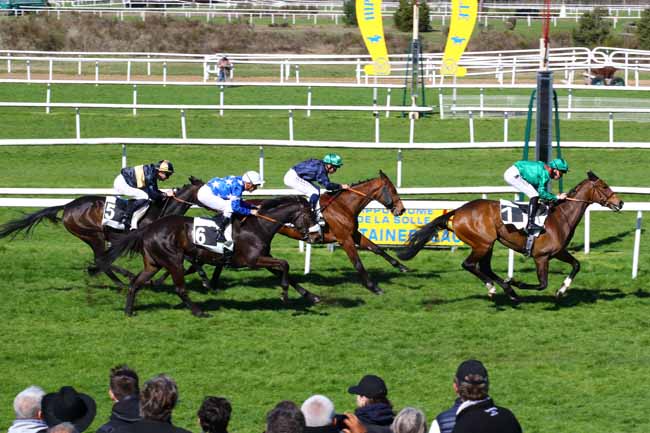 Photo d'arrivée de la course pmu PRIX DES HAUTEURS DE LA SOLLE à FONTAINEBLEAU le Mardi 4 avril 2023