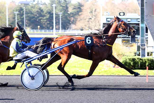 Photo d'arrivée de la course pmu PRIX BEATRIX à PARIS-VINCENNES le Mardi 4 avril 2023