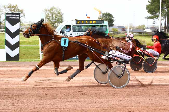 Photo d'arrivée de la course pmu PRIX TENOR DE BAUNE à ANGERS le Mercredi 5 avril 2023