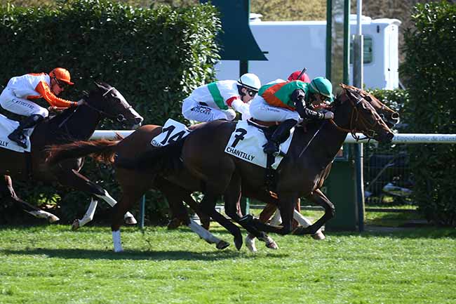 Photo d'arrivée de la course pmu PRIX DU POTAGER DES PRINCES à CHANTILLY le Mercredi 5 avril 2023