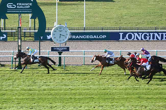 Photo d'arrivée de la course pmu PRIX D'APREMONT à CHANTILLY le Mercredi 5 avril 2023