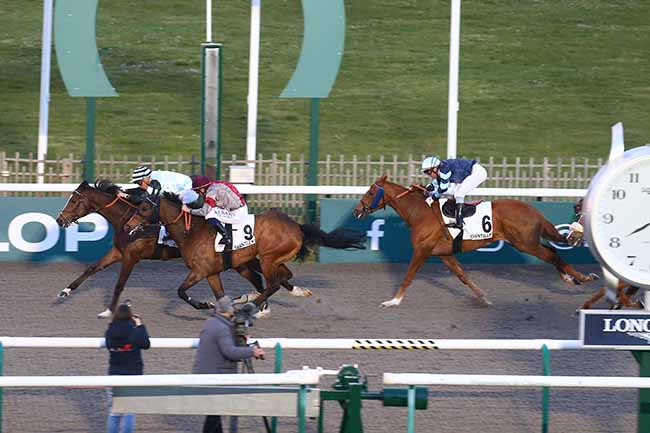 Photo d'arrivée de la course pmu PRIX DU CHEMIN DES OBSTINES à CHANTILLY le Mercredi 5 avril 2023
