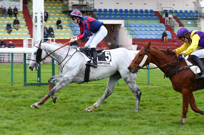 Photo d'arrivée de la course pmu PRIX ROBERT FOURNIER SARLOVEZE à COMPIEGNE le Jeudi 6 avril 2023