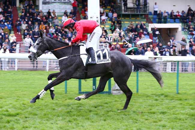 Photo d'arrivée de la course pmu PRIX ORVILLIERS à COMPIEGNE le Lundi 10 avril 2023