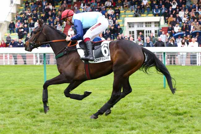 Photo d'arrivée de la course pmu PRIX LA NOUBA à COMPIEGNE le Lundi 10 avril 2023