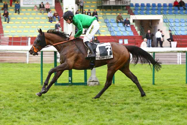 Photo d'arrivée de la course pmu PRIX JACQUES DE VIENNE à COMPIEGNE le Lundi 10 avril 2023