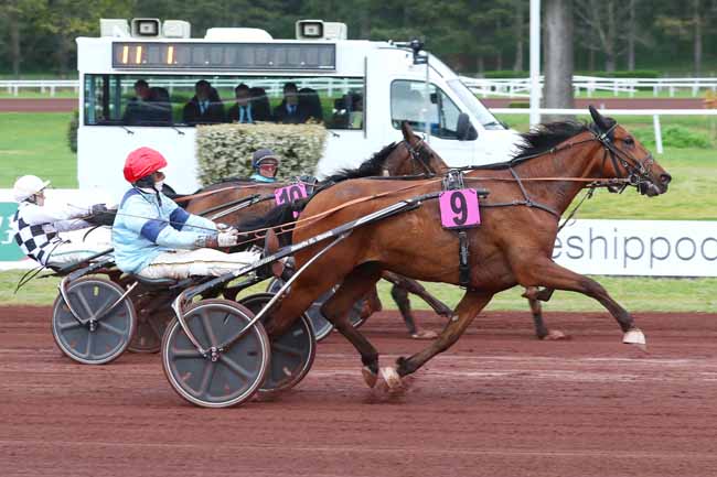 Photo d'arrivée de la course pmu PRIX REVERDY-NUTRITION EQUINE (PRIX DE STRASBOURG) à LYON PARILLY le Mercredi 12 avril 2023