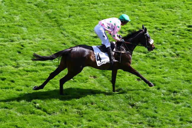 Photo d'arrivée de la course pmu PRIX AUBEPINE à AUTEUIL le Jeudi 13 avril 2023