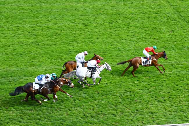 Photo d'arrivée de la course pmu PRIX ROSE LAUREL à AUTEUIL le Jeudi 13 avril 2023
