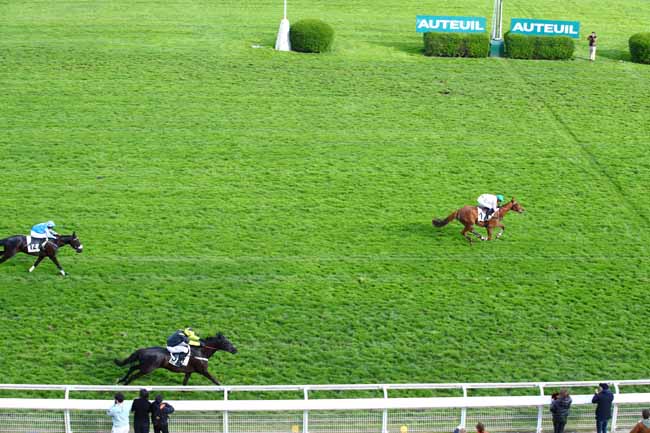 Photo d'arrivée de la course pmu PRIX NECOR à AUTEUIL le Jeudi 13 avril 2023