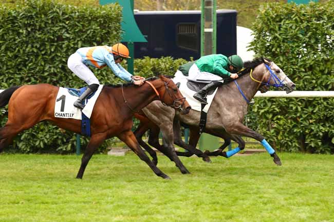 Photo d'arrivée de la course pmu PRIX DU BOIS DES BOULEAUX à CHANTILLY le Lundi 17 avril 2023