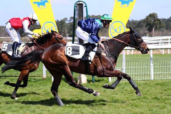 Photo d'arrivée de la course pmu PRIX DE LA SOCIETE DES COURSES DE MOULINS à FONTAINEBLEAU le Mercredi 19 avril 2023