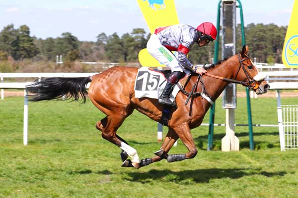 Photo d'arrivée de la course pmu PRIX CABARET MASSON à FONTAINEBLEAU le Mercredi 19 avril 2023