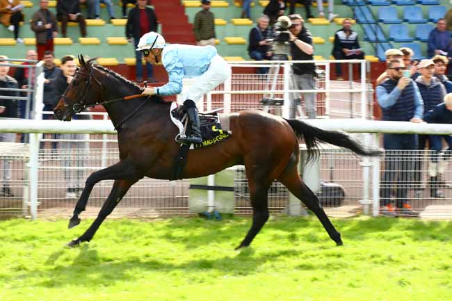 Photo d'arrivée de la course pmu PRIX ATALANTE à COMPIEGNE le Mercredi 19 avril 2023
