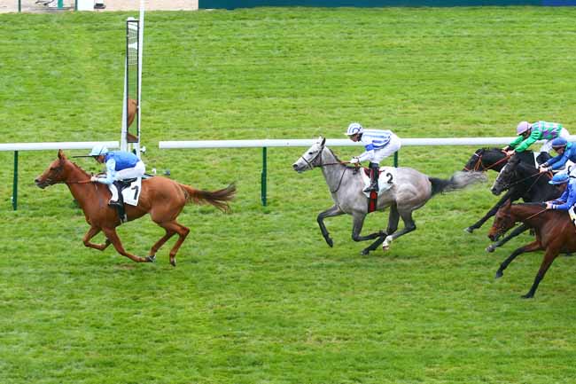 Photo d'arrivée de la course pmu PRIX DE VERNEUIL à LONGCHAMP le Jeudi 20 avril 2023