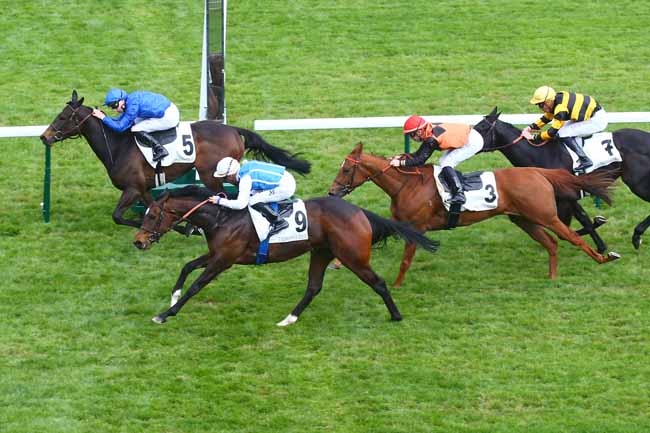 Photo d'arrivée de la course pmu PRIX DU LOUVRE à LONGCHAMP le Jeudi 20 avril 2023