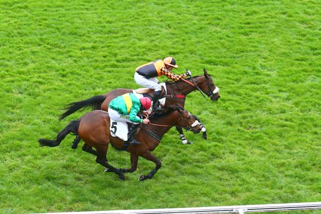 Photo d'arrivée de la course pmu PRIX DE MARSAN à AUTEUIL le Dimanche 23 avril 2023