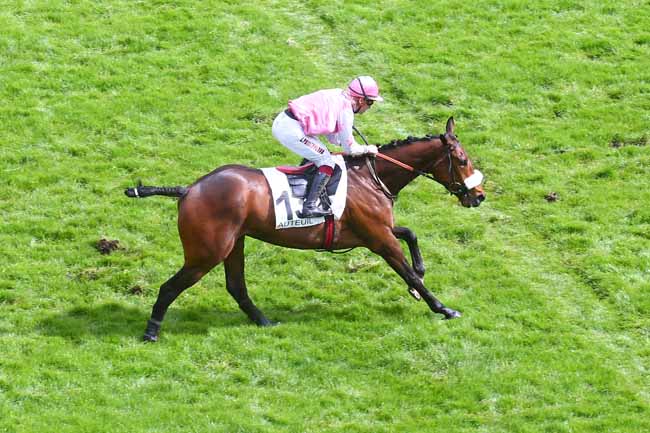 Photo d'arrivée de la course pmu PRIX CLAUDE COHEN à AUTEUIL le Dimanche 23 avril 2023