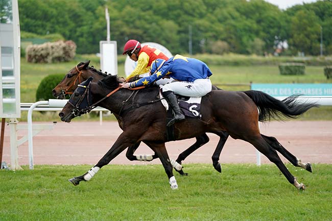 Photo d'arrivée de la course pmu PRIX DS AUTOMOBILES BORDEAUX - PRIX UCELLO II à BORDEAUX-LE BOUSCAT le Lundi 24 avril 2023
