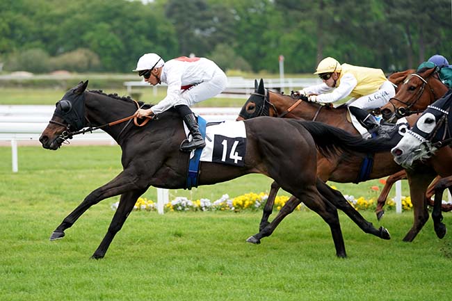 Photo d'arrivée de la course pmu HANDICAP DE BORDEAUX à BORDEAUX-LE BOUSCAT le Lundi 24 avril 2023
