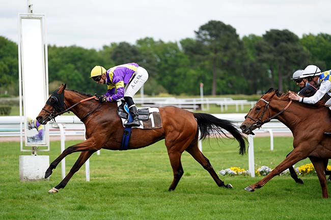 Photo d'arrivée de la course pmu PRIX CALICEO BRUGES à BORDEAUX-LE BOUSCAT le Lundi 24 avril 2023